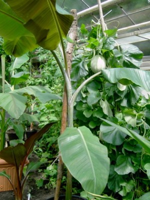 PICT0051.JPG