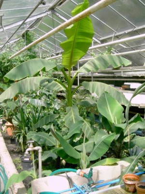 PICT0091.JPG