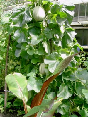 PICT0020.JPG