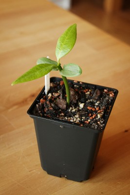 2011081714.jpg