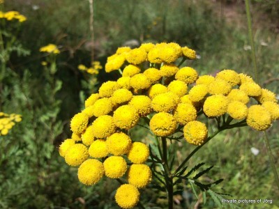 SNC01106.JPG