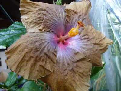 P1060147 (Kopie).JPG