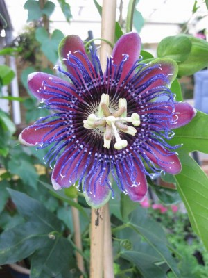 Größenänderung IMG_3210.JPG