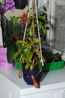 dsc_7755_N_x_ventrata.jpg