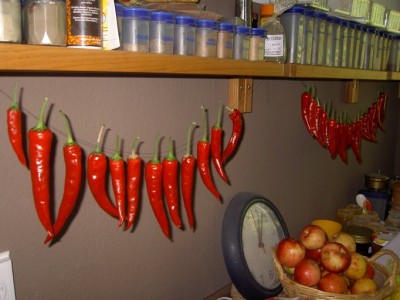 PICT1038.JPG