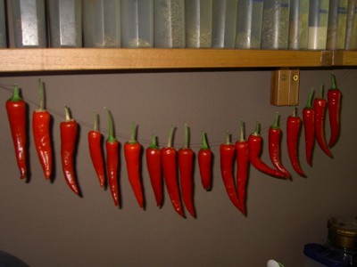 PICT1037.JPG