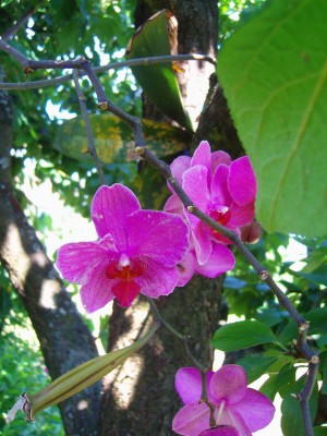 100D5001.JPG