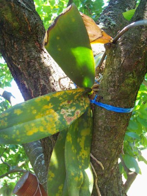 100D5000.JPG