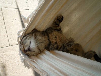 Im Reich der Träume1.JPG