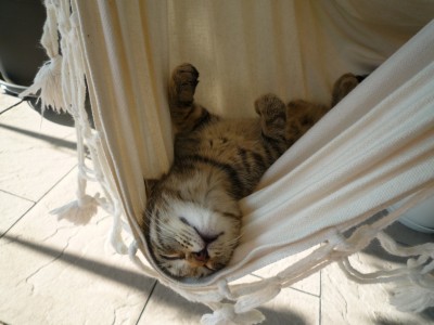 im Reich der Träume.JPG