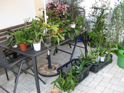 Badetag_1169.jpg