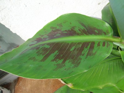 DSCN1771.JPG