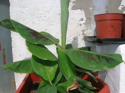 DSCN1770.JPG