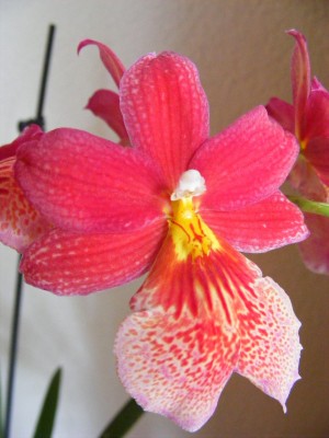 20110821 004.JPG