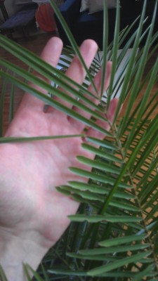 IMAG0035.jpg