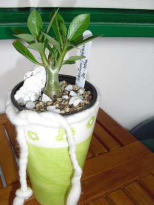 Erfindung 22.08 007.JPG