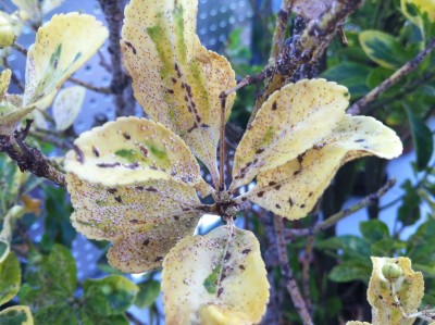 Foto9.jpg