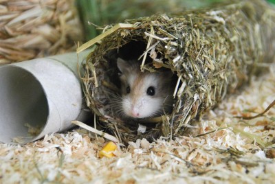 K1024_DSC_0105 Kopie.JPG