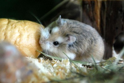 K1024_DSC_0096 Kopie.JPG