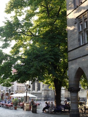 2533-Bäume.jpg