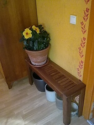..Hibbi.JPG