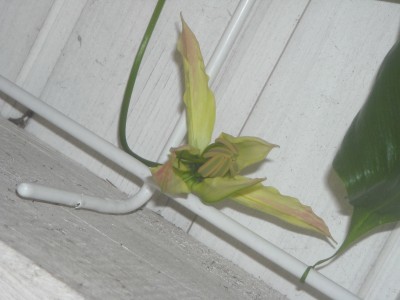 DSCN2044.jpg