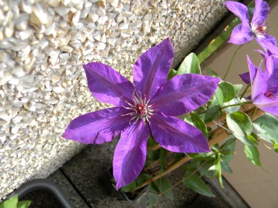 DSCN0700.JPG