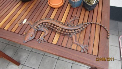 Gecko.jpg