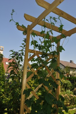 23.8 019 (1328x2000).jpg