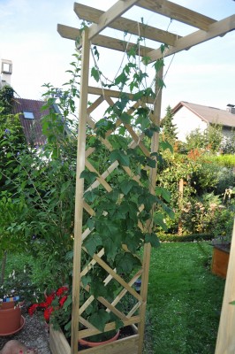 23.8 019.1 (1328x2000).jpg