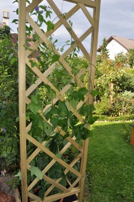 8-9 (1) (1328x2000).jpg