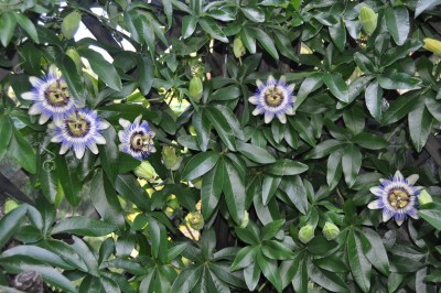 23.8 020 (2000x1328).jpg