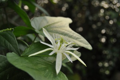 23.8 016 (2000x1328).jpg