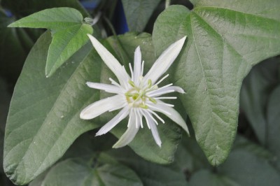 23.8 003 (2000x1328).jpg