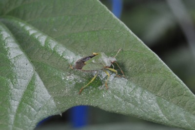 23.8 004 (2000x1328).jpg