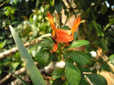 P1010120.JPG