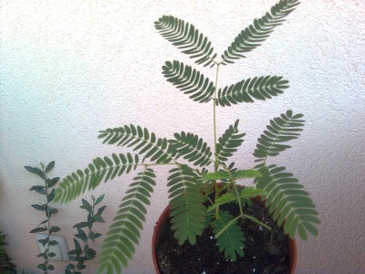 Bild0340.jpg