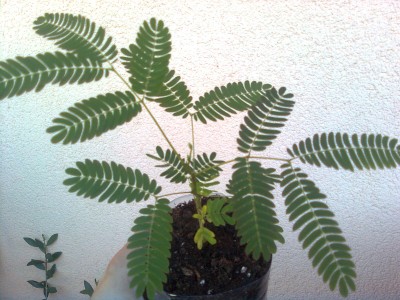 Bild0339.jpg