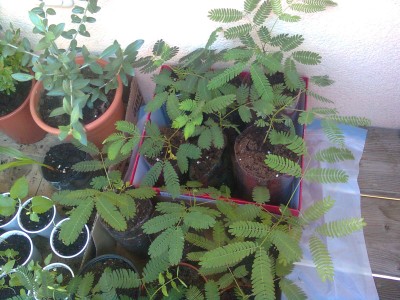 Bild0338.jpg