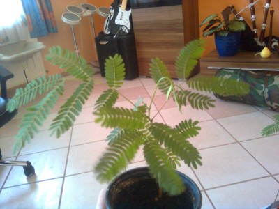 Bild0335.jpg