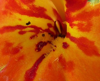 Raetsel (640x520).jpg