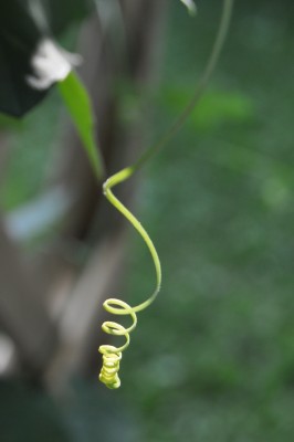 a (12) (1328x2000).jpg