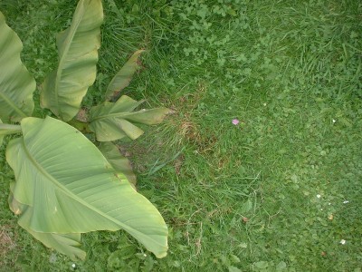 DSCF0118.JPG