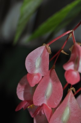 a (5) (1328x2000).jpg