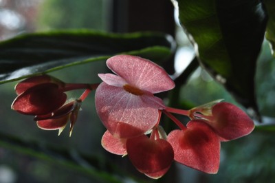 a (4) (2000x1328).jpg