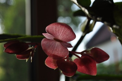 a (6) (2000x1328).jpg