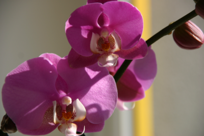 IMG_5567.png