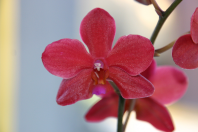 IMG_5569.png