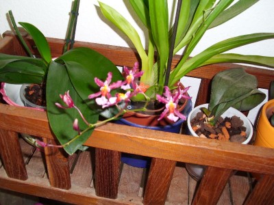 image007.jpg