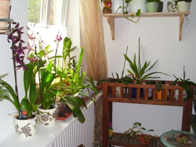 image008.jpg